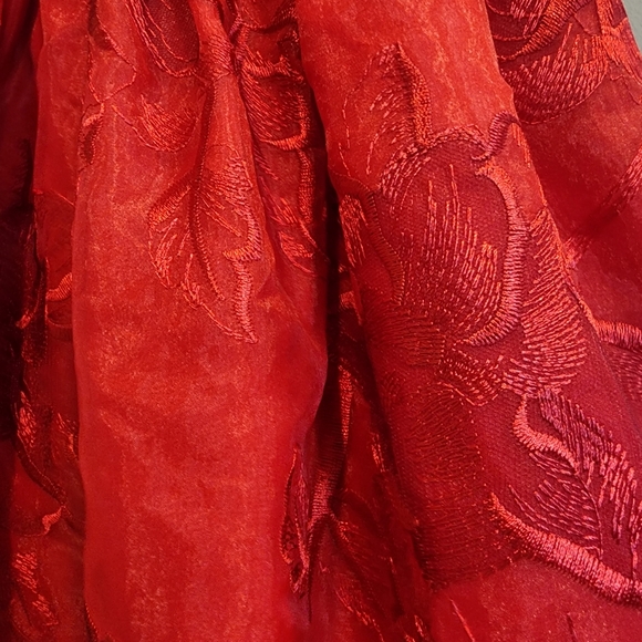 Janie and Jack Red Floral Embroidered Organza Dress | Size 3 - Picture 5 of 8